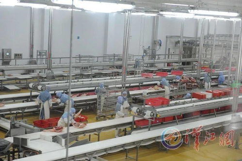 听 美妙 链 曲已奏响